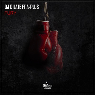 Fury (feat. A-Plus) - Single