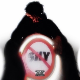 Magicien d'Oz (feat. HOUDI) Pico