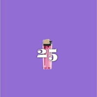 25 Lighters (feat. DCS) - Single - Skam