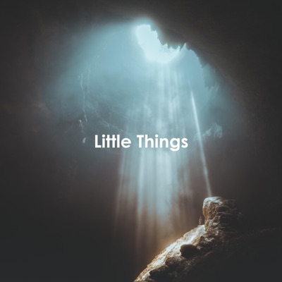 Little Things - Single