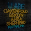 U Are (Festival Mix) [feat. BRKLYN & Amba Shepherd] - Single