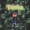 Tonka - Bloomzz lyrics