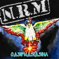 Партызанская