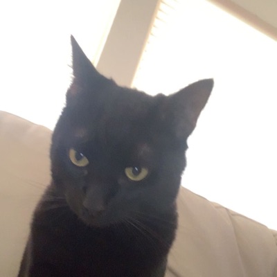 23 minus everything - Single