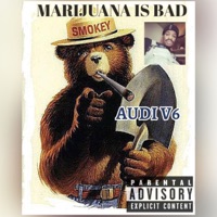 Marijuana Is Bad - Audi V6