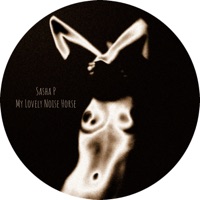 My Lovely Noise Horse - Single - Sasha P