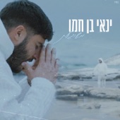 משוגעת artwork