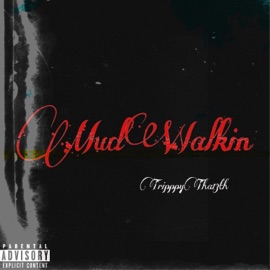 Mozart TripppyTha13th