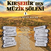 Mor Koyun