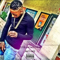 We Lit - Single - SPB Newborn