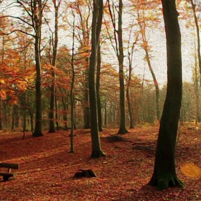 If Only It Could - Single