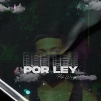 Por Ley - Single - RK wavy