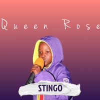 Stingo - Single - Queen Rose