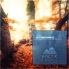 Autumn Forest - Single