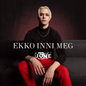 Ekko inni meg (feat. Silke) artwork