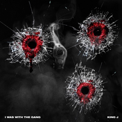 I Was With the Gang - Single