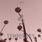 Temporary - Benly lyrics