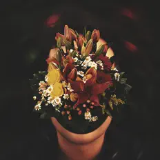 Ouve Floret Loret, vê vídeos de música, lê a biografia, vê as datas da digressão e muito mais!