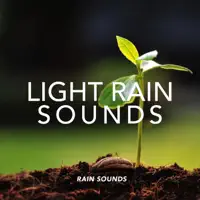 London's Misty Rain — Rain Sounds