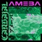 Ameba - Carbajal lyrics