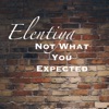 Elentiya - Not What You Expected