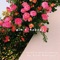 Ain't Nobody - Jovan lyrics