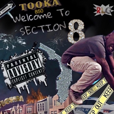 Welcome to Section 8