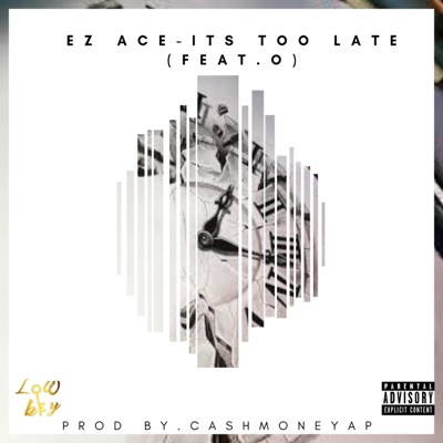 Its Too Late (feat. O) - Single