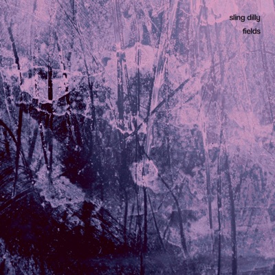 Fields - Single