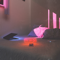 Used To Like - Neon Trees lyrics