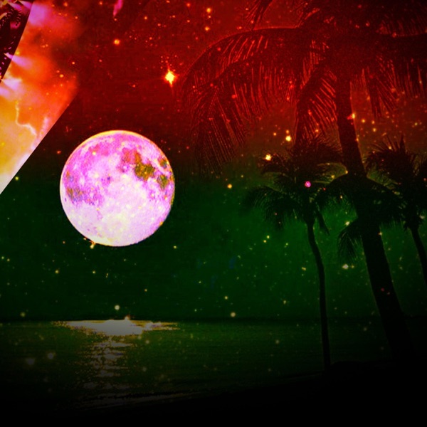 Life Beyond the Stars