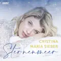 Sternenmeer