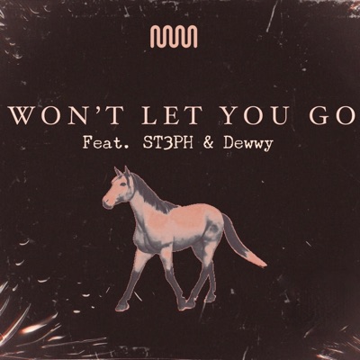 Won't Let You Go (feat. St3ph & Dewwy) - Single