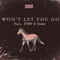 Won't Let You Go (feat. St3ph & Dewwy) - MindMassage lyrics