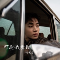 可是我爱你 - Single - HENRY