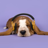 Dog Music - Calming Music for Dogs artwork
