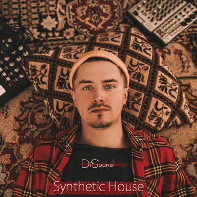 Synthetic House
