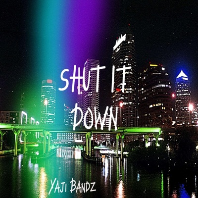 Shut It Down - Single
