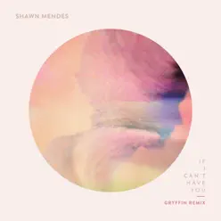 If I Can't Have You (Gryffin Remix) - Single - Shawn Mendes