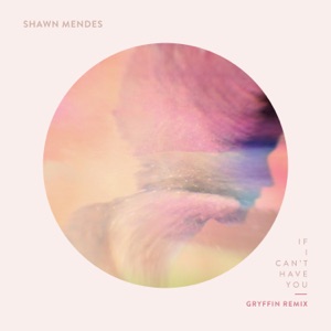 Shawn Mendes & Gryffin - If I Can't Have You (Gryffin Remix) - 排舞 音樂