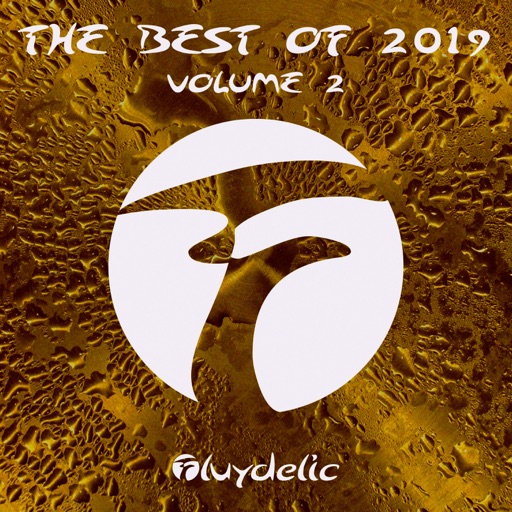 The Best of 2019, Vol. 2 (Extended) by Various Artists