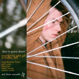 After It Quiets Down Gabe Gill