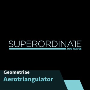 Aerotriangulator - Single