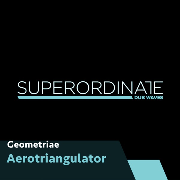 Aerotriangulator - Single