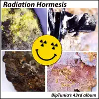 Harmolodic Meatus in the Middle — BipTunia