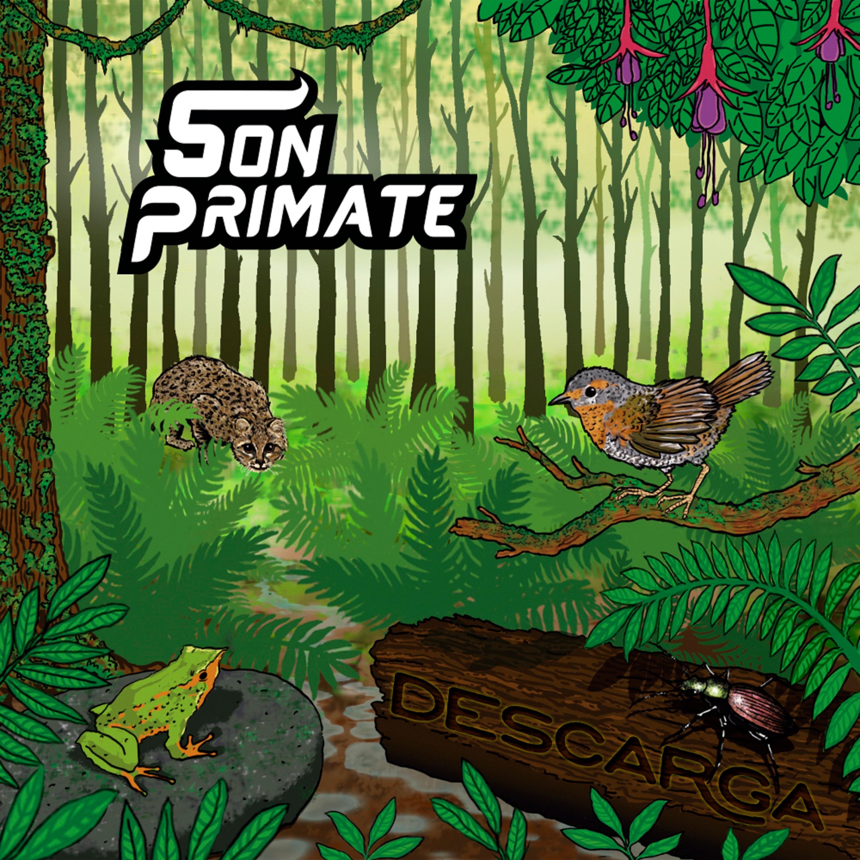 Descarga