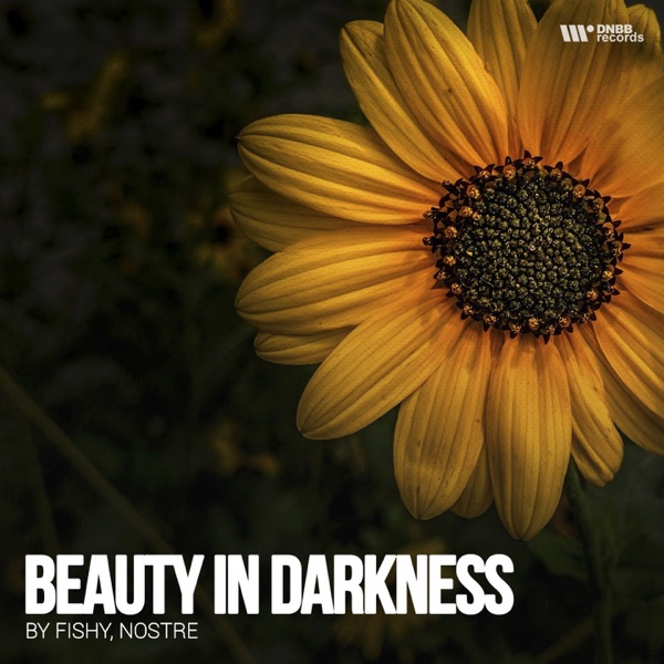 Beauty Darkness - Single