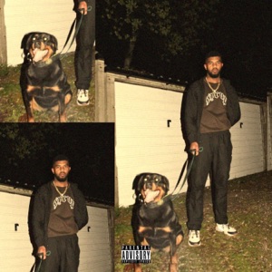 Bandz - Single