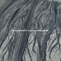 Give Yourself a Name (feat. Tim Elsenburg) - Single - Steve Jansen