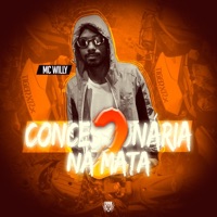 Concessionária na Mata 2 - Single - MC Willy